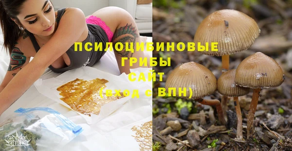 ешки Баксан