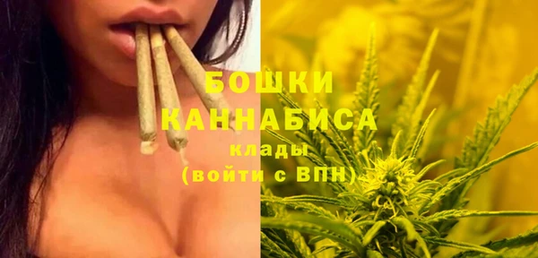 стафф Балабаново