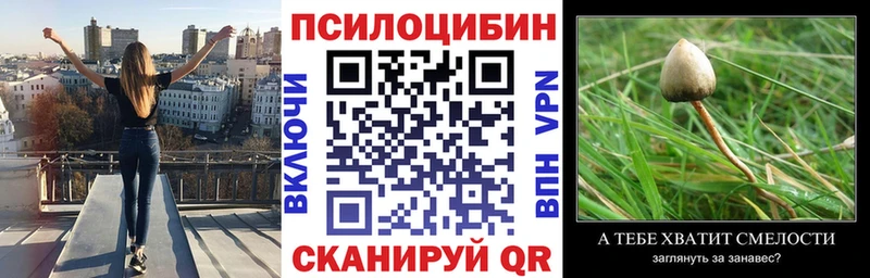 Псилоцибиновые грибы прущие грибы  цена   Новый Уренгой 